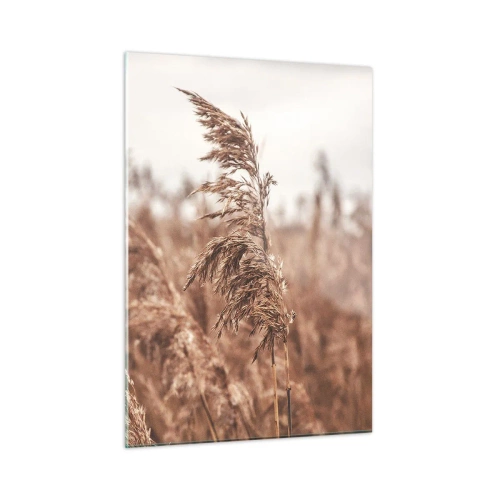 Impression sur verre - Image sur verre - Herbes séchées dans le vent dans la lumière d'automne de la nature - 50x70cm - C'est déjà l'automne dans les champs - Décoration murale moderne pour le salon et la chambre ARTTOR