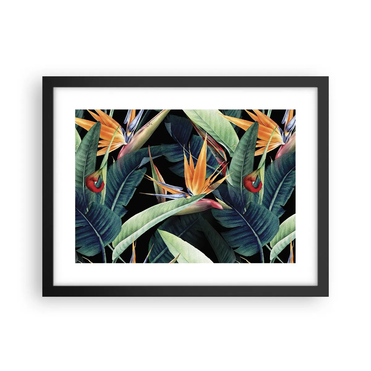 Affiche dans un cadre noir - Poster - Fleurs flamboyantes des tropiques - 40x30 cm
