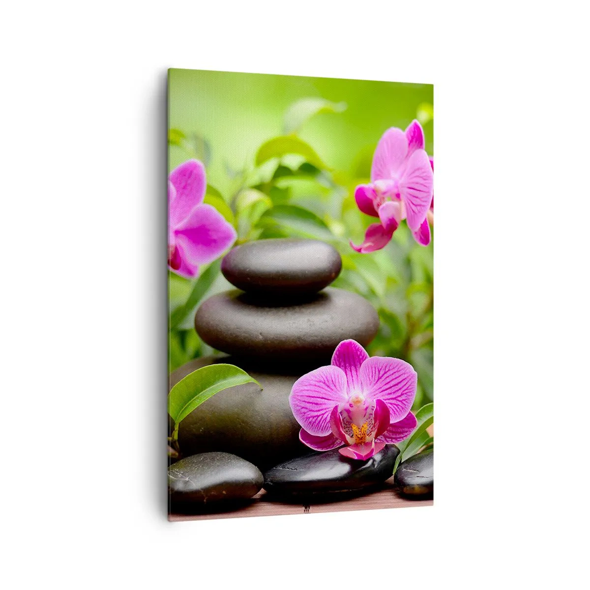 Impression sur toile - Image sur toile - Orchidées roses avec des pierres sur fond vert - 80x120cm - Pyramide de la Paix - Décoration murale moderne pour le salon et la chambre ARTTOR