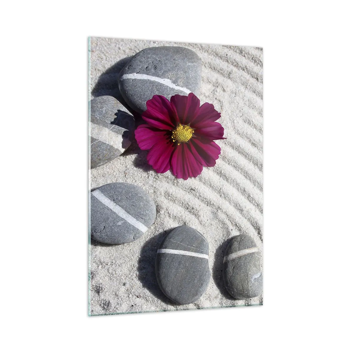 Impression sur verre - Image sur verre - Pierres à rayures blanches et une fleur violette sur le sable dans un style zen - 50x70cm - Énergie et paix du cercle magique de la nature - Décoration murale moderne pour le salon et la chambre ARTTOR