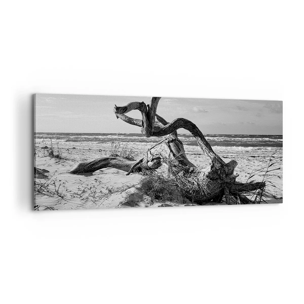 Impression sur toile - Image sur toile - Sculpture marine - 100x40 cm