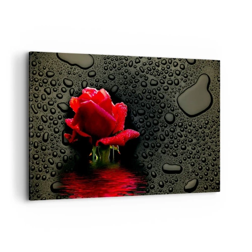 Impression sur toile - Image sur toile - Rose rouge avec des gouttes d'eau sur un fond sombre - 120x80cm - Rouge et noir - Décoration murale moderne pour le salon et la chambre ARTTOR