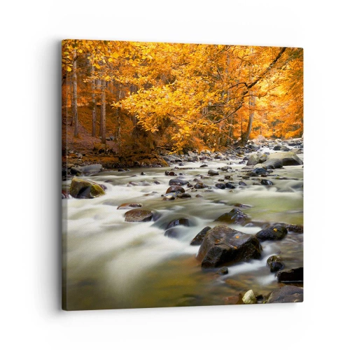 Impression sur toile - Image sur toile - Un ruisseau dans une forêt dorée - 30x30 cm