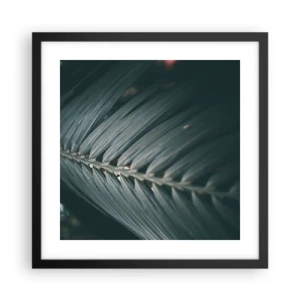 Affiche dans un cadre noir - Poster - Précision de la nature - 40x40 cm