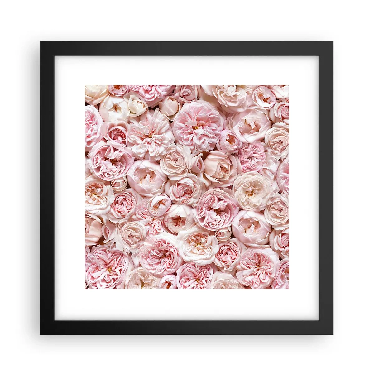 Affiche dans un cadre noir - Poster - Un lit de roses - 30x30 cm