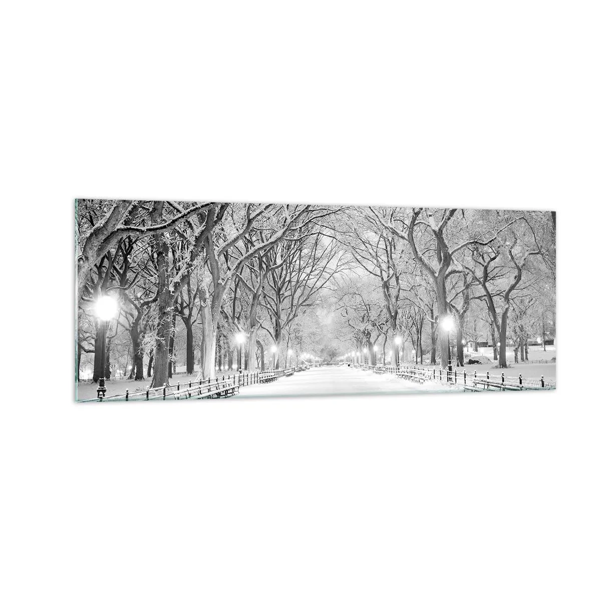 Impression sur verre - Image sur verre - Une allée d'hiver avec des arbres enneigés en monochrome - 140x50cm - Les quatres saisons – l’hiver - Décoration murale moderne pour le salon et la chambre ARTTOR