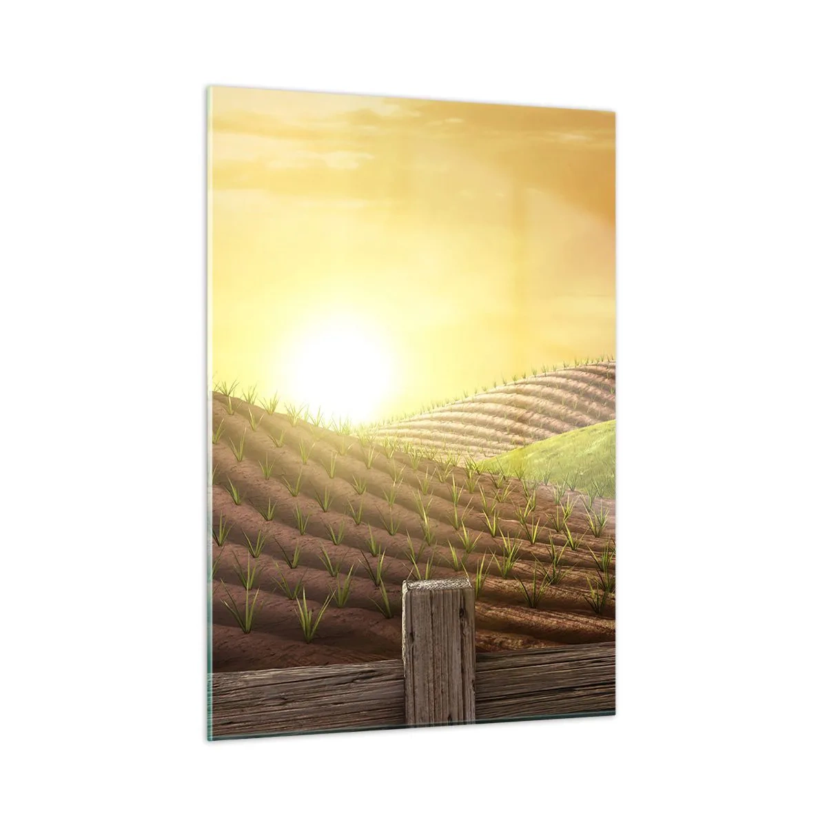 Impression sur verre - Image sur verre - Coucher de soleil sur une ferme avec un champ et un tracteur - 50x70cm - Une ferme comme dans un conte de fées - Décoration murale moderne pour le salon et la chambre ARTTOR