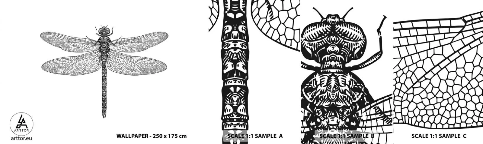 Échantillon De Papier Peint Standard Eco - Précision de la nature - Libellule, Insecte, Minimaliste - 100x30 cm