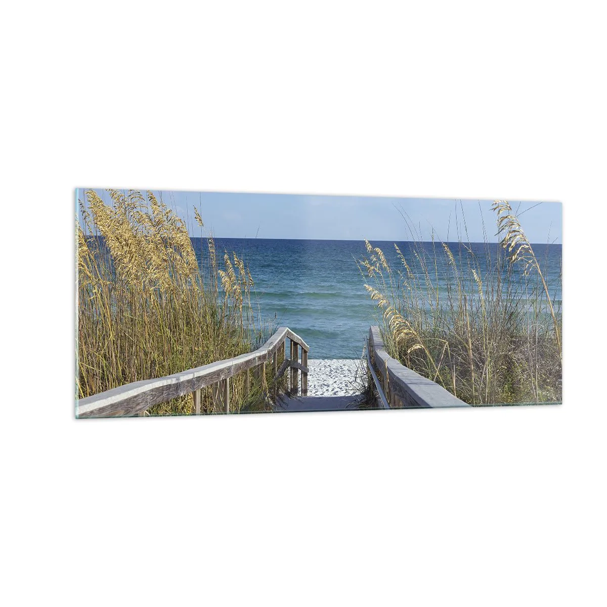 Impression sur verre - Image sur verre - Au soleil, sous le vent - 100x40 cm