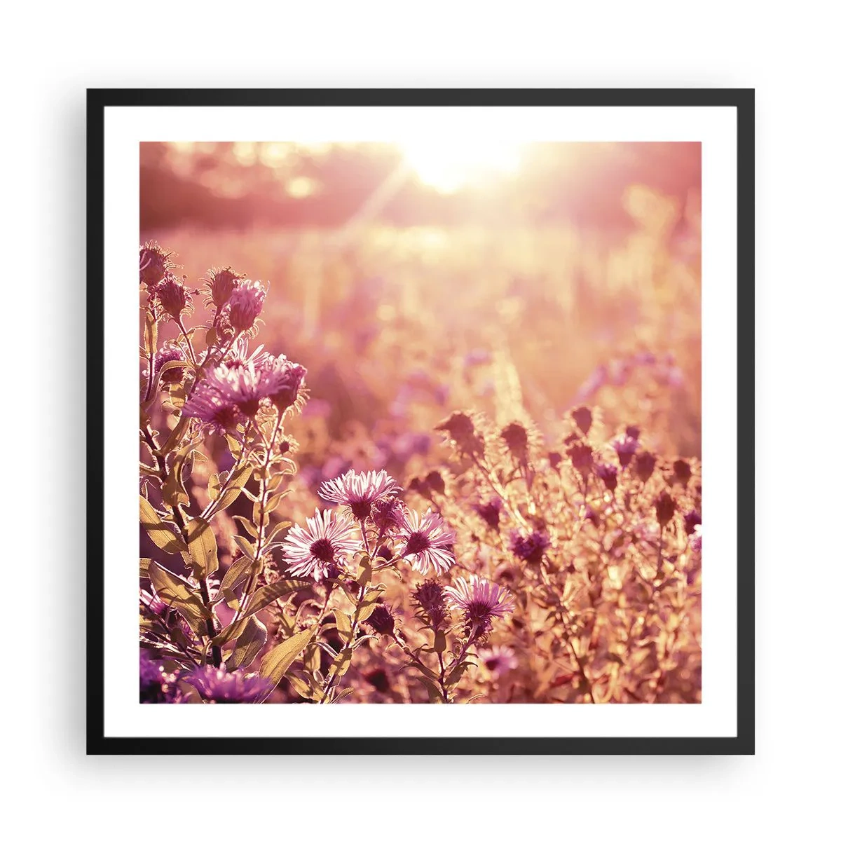 Affiche dans un cadre noir - Poster - Avant que l'été ne parte - 60x60 cm