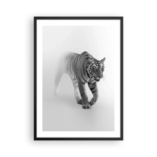 Affiche dans un cadre noir - Poster - Un tigre noir et blanc émergeant du brouillard - 50x70cm - Accroupi dans le brouillard - Décoration murale moderne pour le salon et la chambre ARTTOR