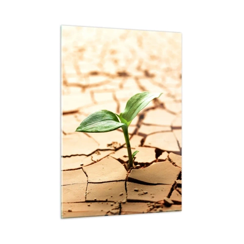 Impression sur verre - Image sur verre - Une jeune plante poussant dans une terre sèche et craquelée - 50x70cm - La force indomptable de la vie - Décoration murale moderne pour le salon et la chambre ARTTOR
