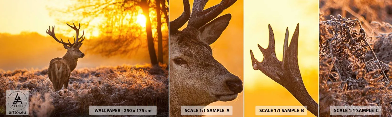 Échantillon De Papier Peint Standard Eco - Roi de la forêt automnal - Paysage, Cerf, Nature - 100x30 cm