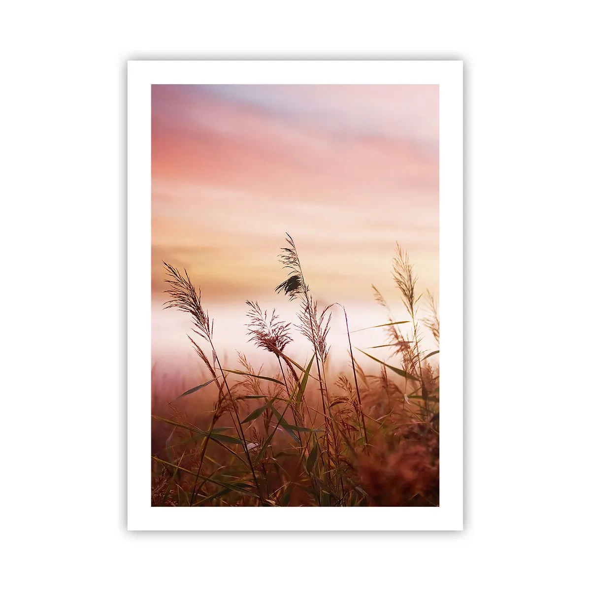 Affiche - Poster - Graminées contre un ciel coloré au coucher du soleil - 50x70cm - Cerfs-volants, pissenlits, vent - Décoration murale moderne pour le salon et la chambre ARTTOR