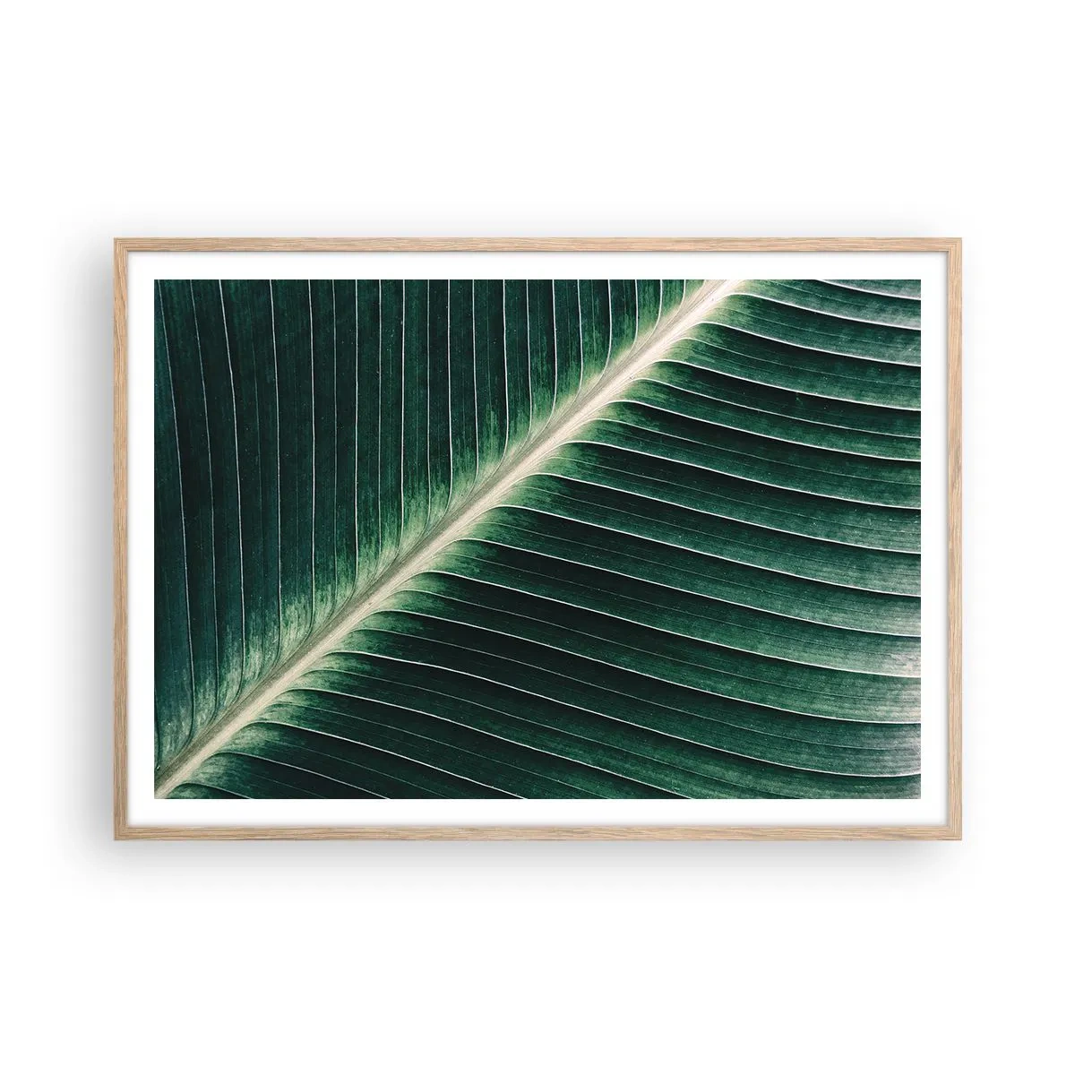 Affiche dans un chêne clair - Poster - Le rythme de la nature - 100x70 cm