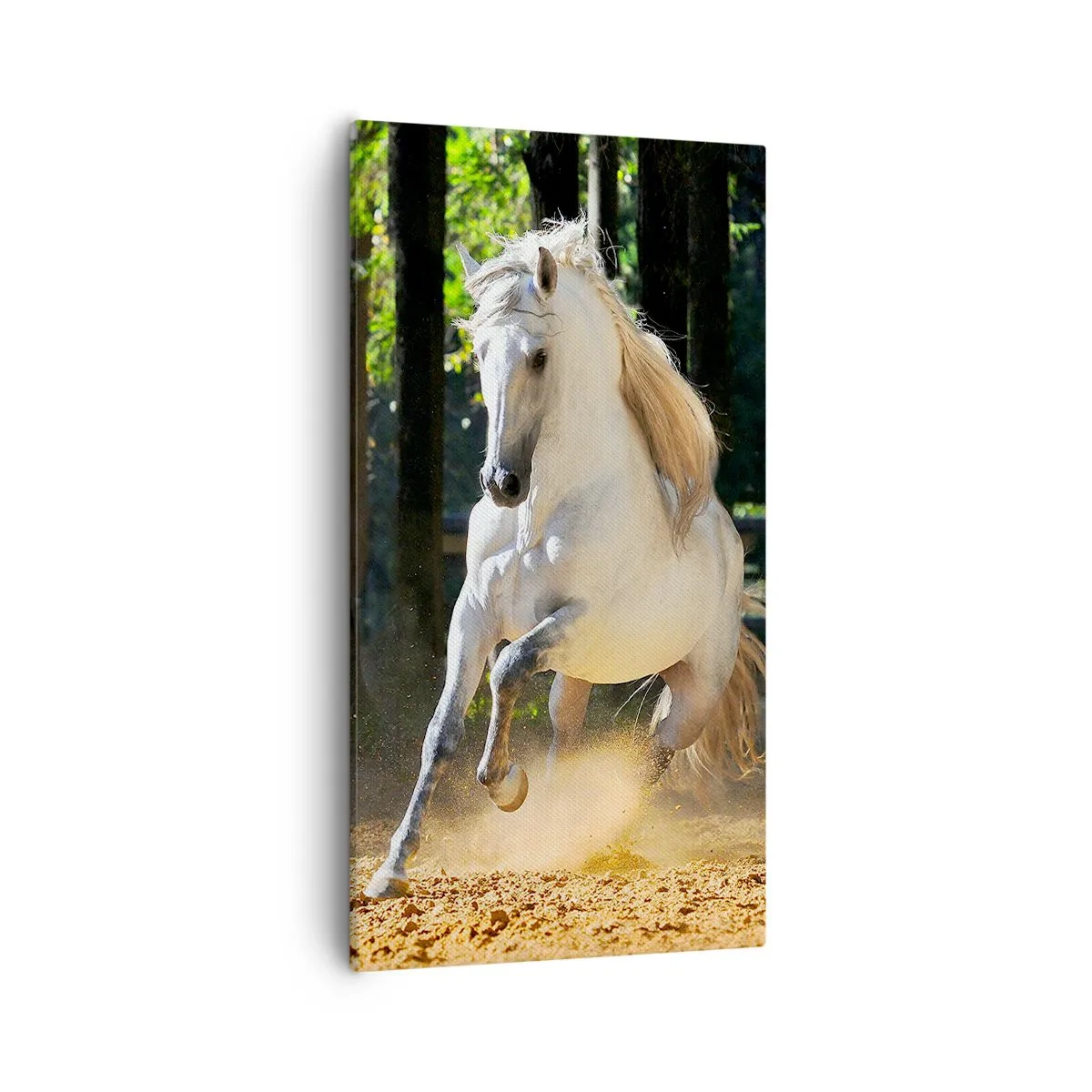 Impression sur toile - Image sur toile - Comme dans un roman fantastique - 55x100 cm