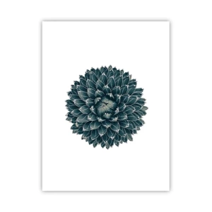 Affiche - Poster - Étoile du désert - 30x40 cm