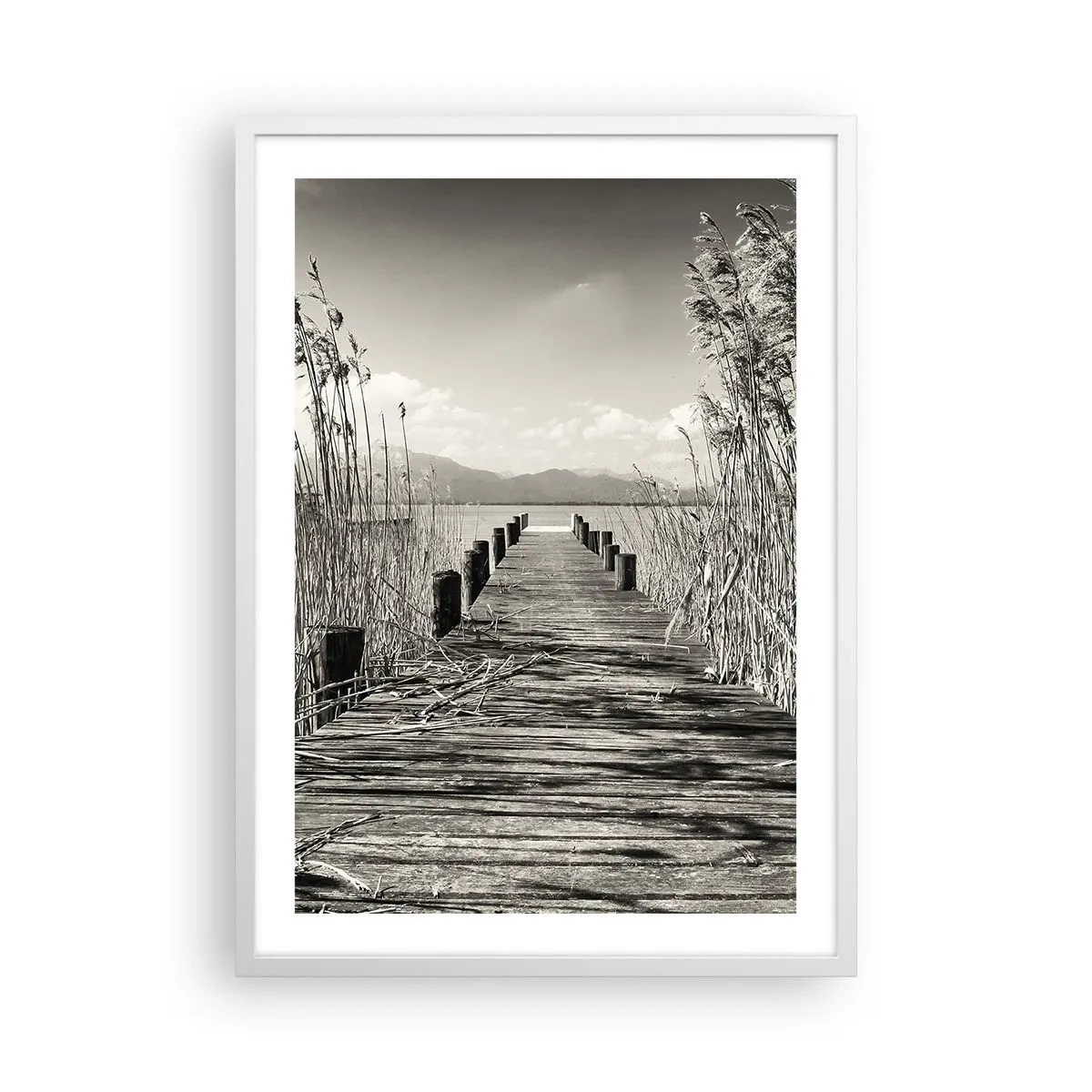 Affiche dans un cadre blanc - Poster - Dans le calme de l'herbe - 50x70 cm