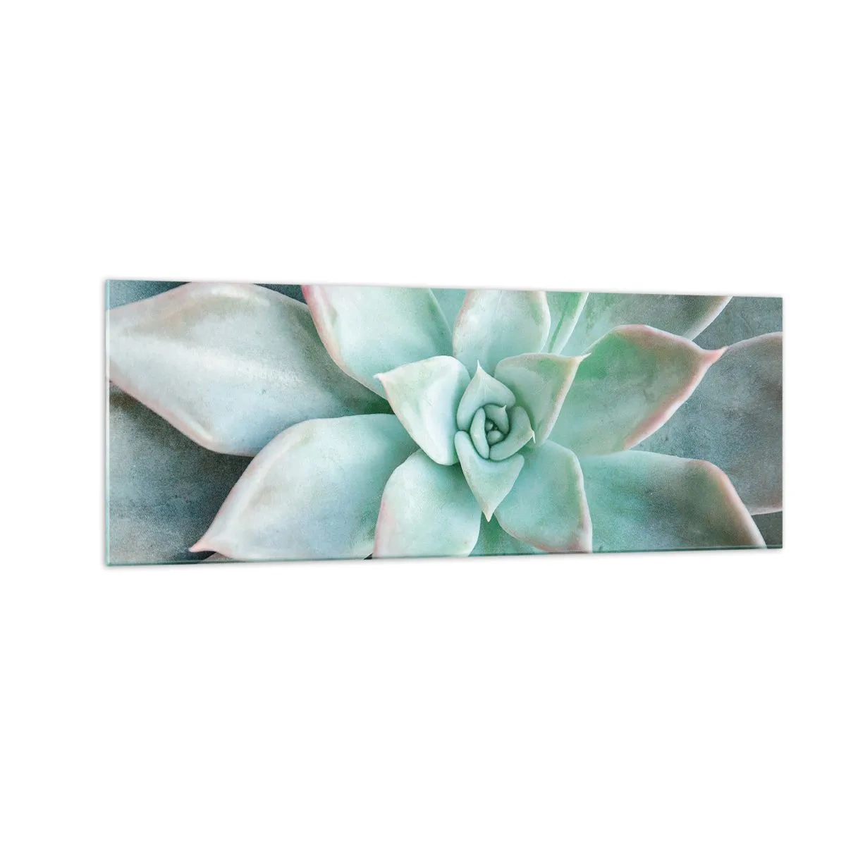 Impression sur verre - Image sur verre - Gros plan d'une succulente verte - 140x50cm - Le coeur du désert - Décoration murale moderne pour le salon et la chambre ARTTOR