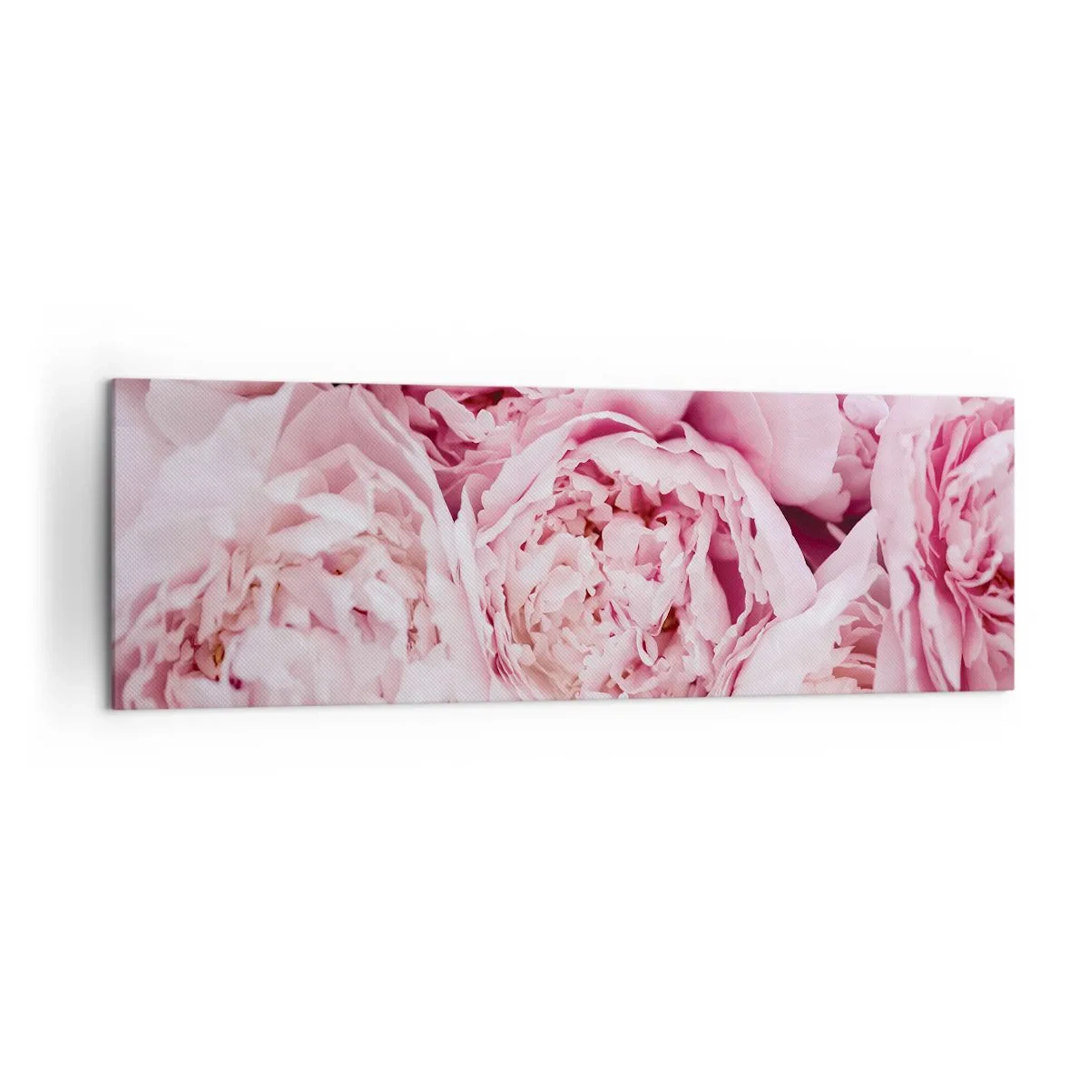 Impression sur toile - Image sur toile - Gros plan d'un bouquet de pivoines roses - 160x50cm - Caliné et parfumé - Décoration murale moderne pour le salon et la chambre ARTTOR
