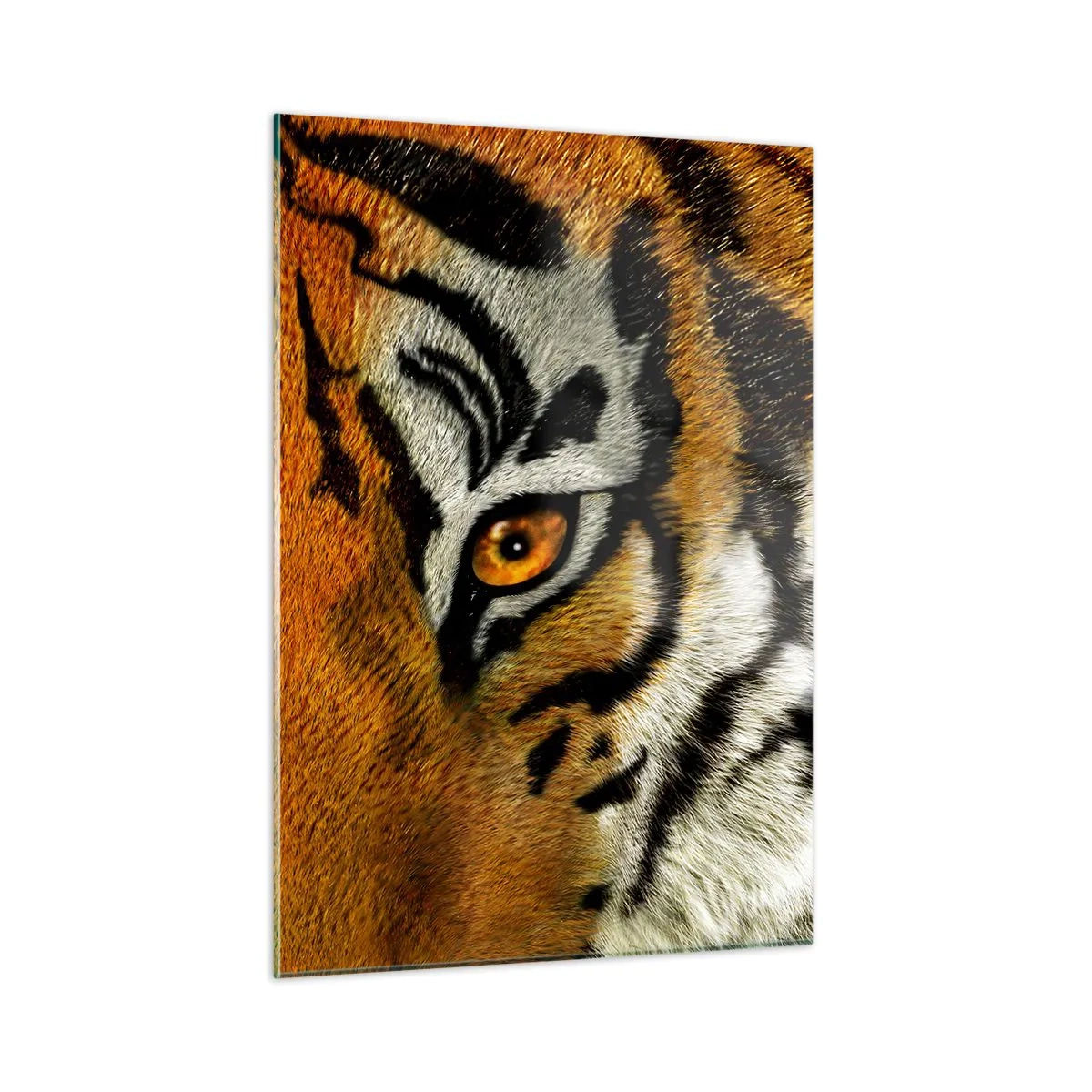 Impression sur verre - Image sur verre - Gros plan sur le regard intense du tigre - 50x70cm - Terrible et beau - Décoration murale moderne pour le salon et la chambre ARTTOR