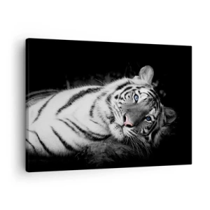 Impression sur toile - Image sur toile - Un tigre blanc rendu artistiquement sur un fond noir - 70x50cm - Sauvagerie et paix - Décoration murale moderne pour le salon et la chambre ARTTOR
