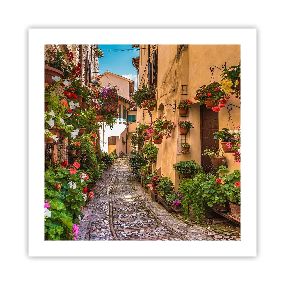 Affiche - Poster - Ruelle italienne - 50x50 cm