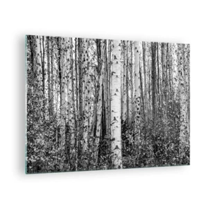 Impression sur verre - Image sur verre - Les bouleaux noirs et blancs créent un paysage forestier dense - 70x50cm - Enchevêtrement de bouleau - Décoration murale moderne pour le salon et la chambre ARTTOR