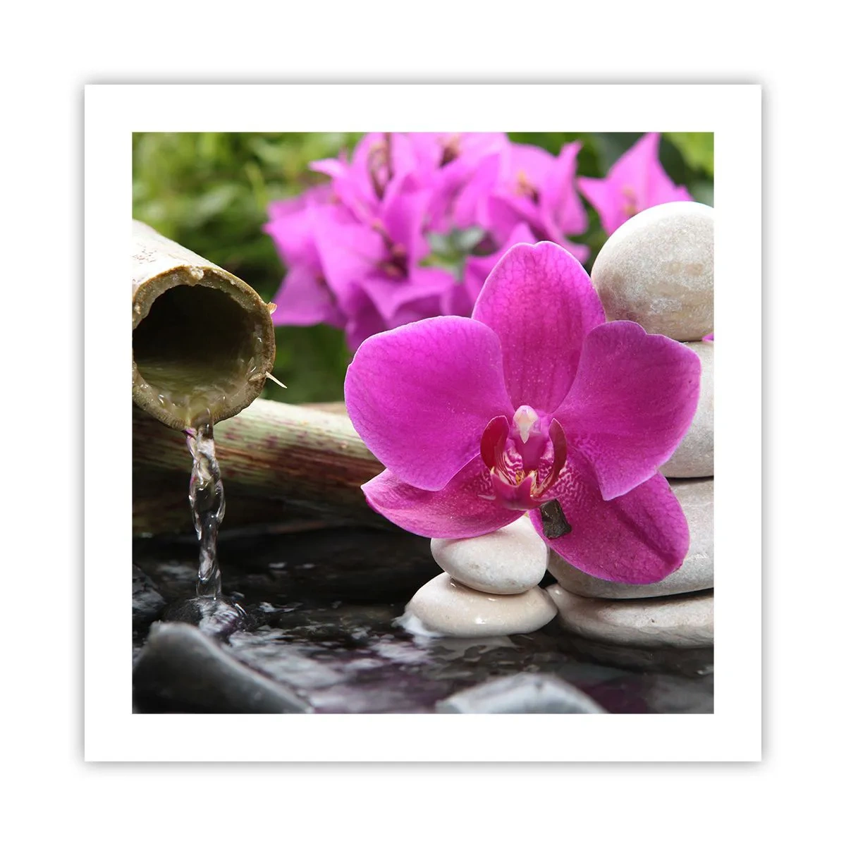 Affiche - Poster - Tu te reposes déjà - 50x50 cm