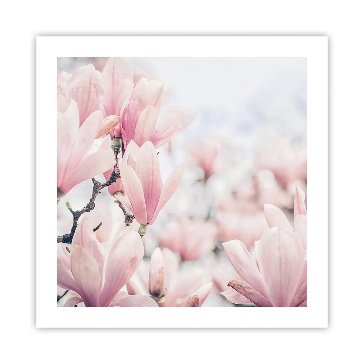 Affiche - Poster - Idéal de la subtilité - 50x50 cm