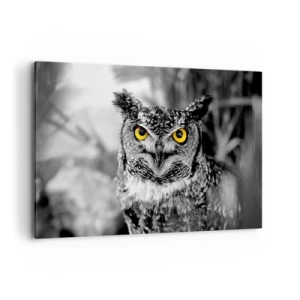 Impression sur toile - Image sur toile - Une photo en noir et blanc d'un hibou aux yeux jaunes - 120x80cm - Rien ne se cachera - Décoration murale moderne pour le salon et la chambre ARTTOR