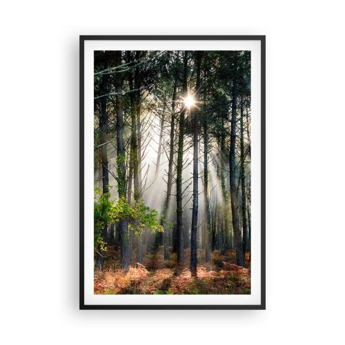Affiche dans un cadre noir - Poster - Une zone forestière - 61x91 cm