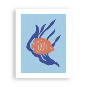 Affiche - Poster - Habitant des eaux coralliennes - 40x50 cm