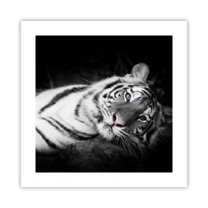 Affiche - Poster - Sauvagerie et paix - 40x40 cm