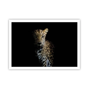 Affiche - Poster - Un léopard sur fond sombre avec un regard intense - 100x70cm - Beauté sombre - Décoration murale moderne pour le salon et la chambre ARTTOR