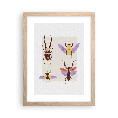 Affiche dans un chêne clair - Poster - Le monde des insectes - 30x40 cm