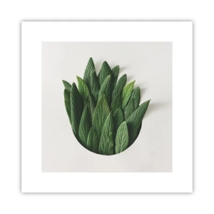 Affiche - Poster - Curiosité sans retenue - 30x30 cm