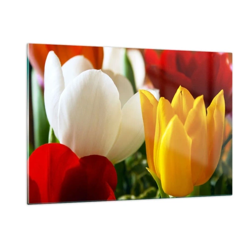 Impression sur verre - Image sur verre - Gros plan de tulipes colorées - 120x80cm - La fièvre des tulipes - Décoration murale moderne pour le salon et la chambre ARTTOR