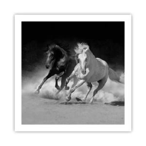 Affiche - Poster - Galop de la liberté - 60x60 cm