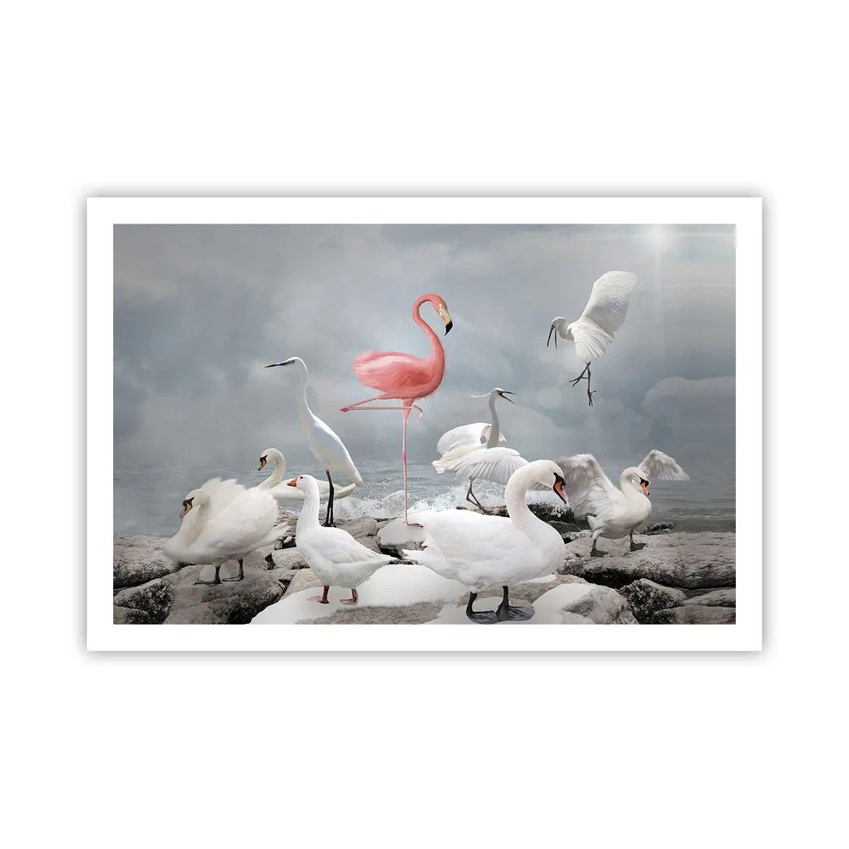 Affiche - Poster - Comment suis-je arrivé là? - 91x61 cm