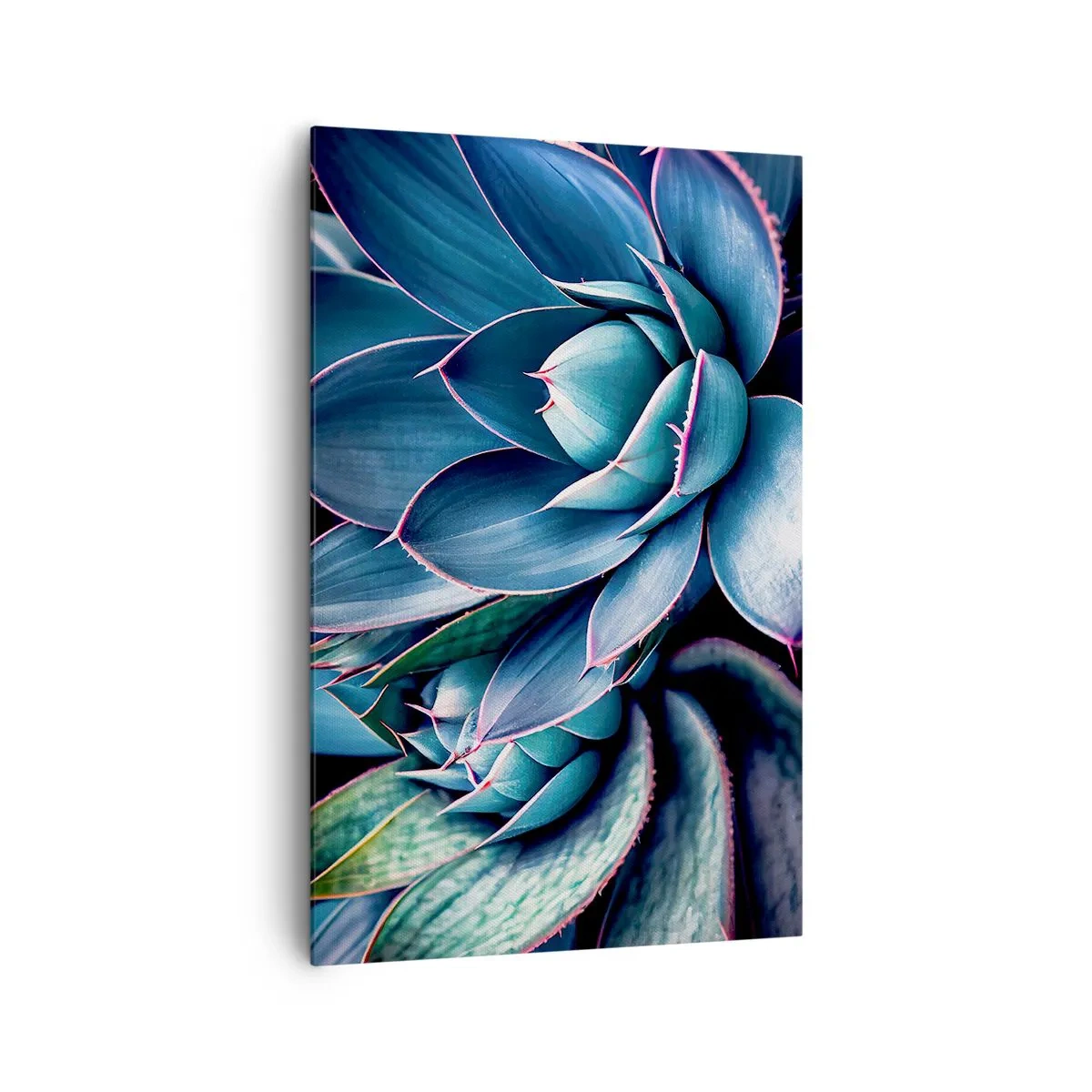 Impression sur toile - Image sur toile - Agave dans des tons de bleu et de vert avec des accents roses - 80x120cm - Force vital - Décoration murale moderne pour le salon et la chambre ARTTOR