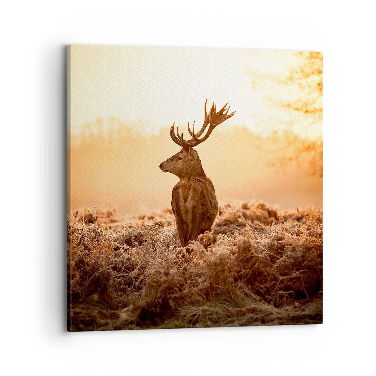 Impression sur toile - Image sur toile - Seigneur du domaine - 70x70 cm