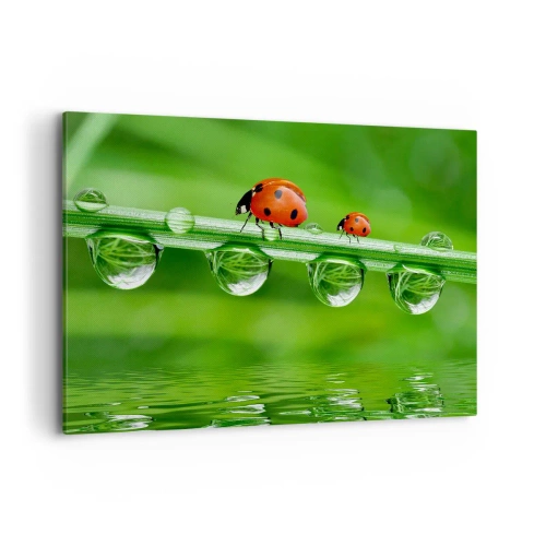 Impression sur toile - Image sur toile - Coccinelles sur un brin d'herbe avec des gouttes de rosée dans un cadre naturel - 120x80cm - Sur la route tout l'été - Décoration murale moderne pour le salon et la chambre ARTTOR