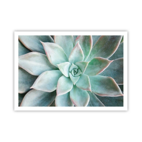 Affiche - Poster - Gros plan d'une succulente verte - 100x70cm - Le coeur du désert - Décoration murale moderne pour le salon et la chambre ARTTOR