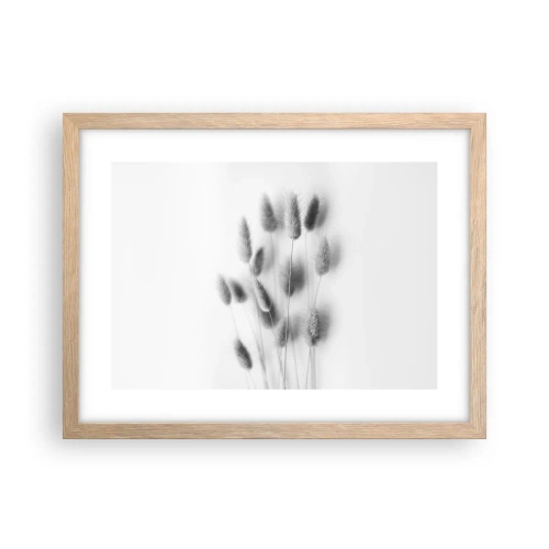 Affiche dans un chêne clair - Poster - Son herbe duveteuse - 40x30 cm