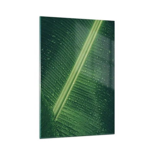 Impression sur verre - Image sur verre - Une feuille verte avec des gouttes d'eau à sa surface - 80x120cm - Structure de vert - Décoration murale moderne pour le salon et la chambre ARTTOR