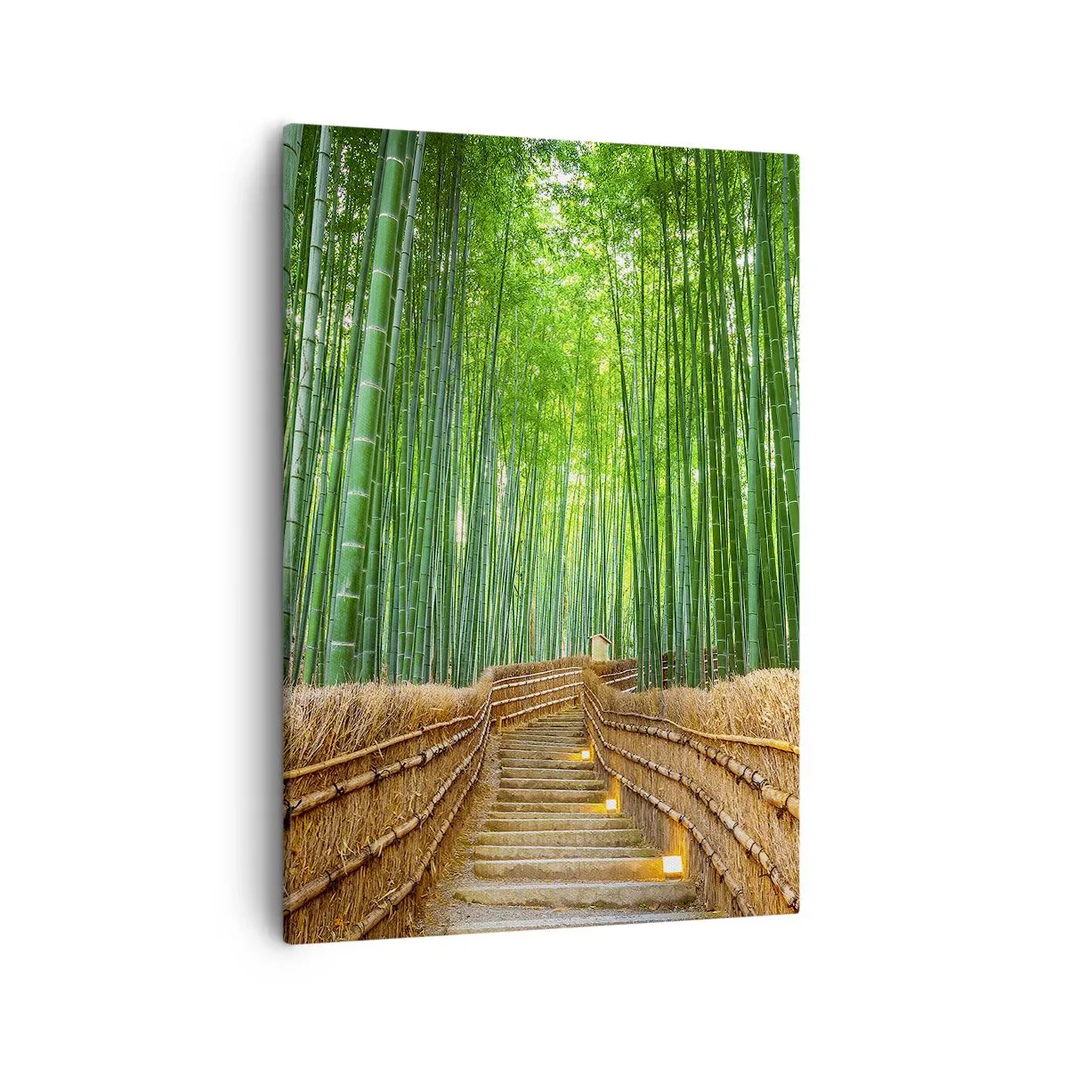 Impression sur toile - Image sur toile - Un chemin dans une dense forêt de bambous - 50x70cm - L'essence de la nature asiatique - Décoration murale moderne pour le salon et la chambre ARTTOR