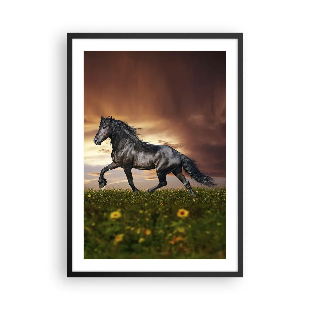 Affiche dans un cadre noir - Poster - Un cheval noir galope à travers un pré à la lumière du soleil couchant. - 50x70cm - Livres noirs - Décoration murale moderne pour le salon et la chambre ARTTOR