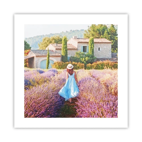 Affiche - Poster - Fille de la lavande - 40x40 cm