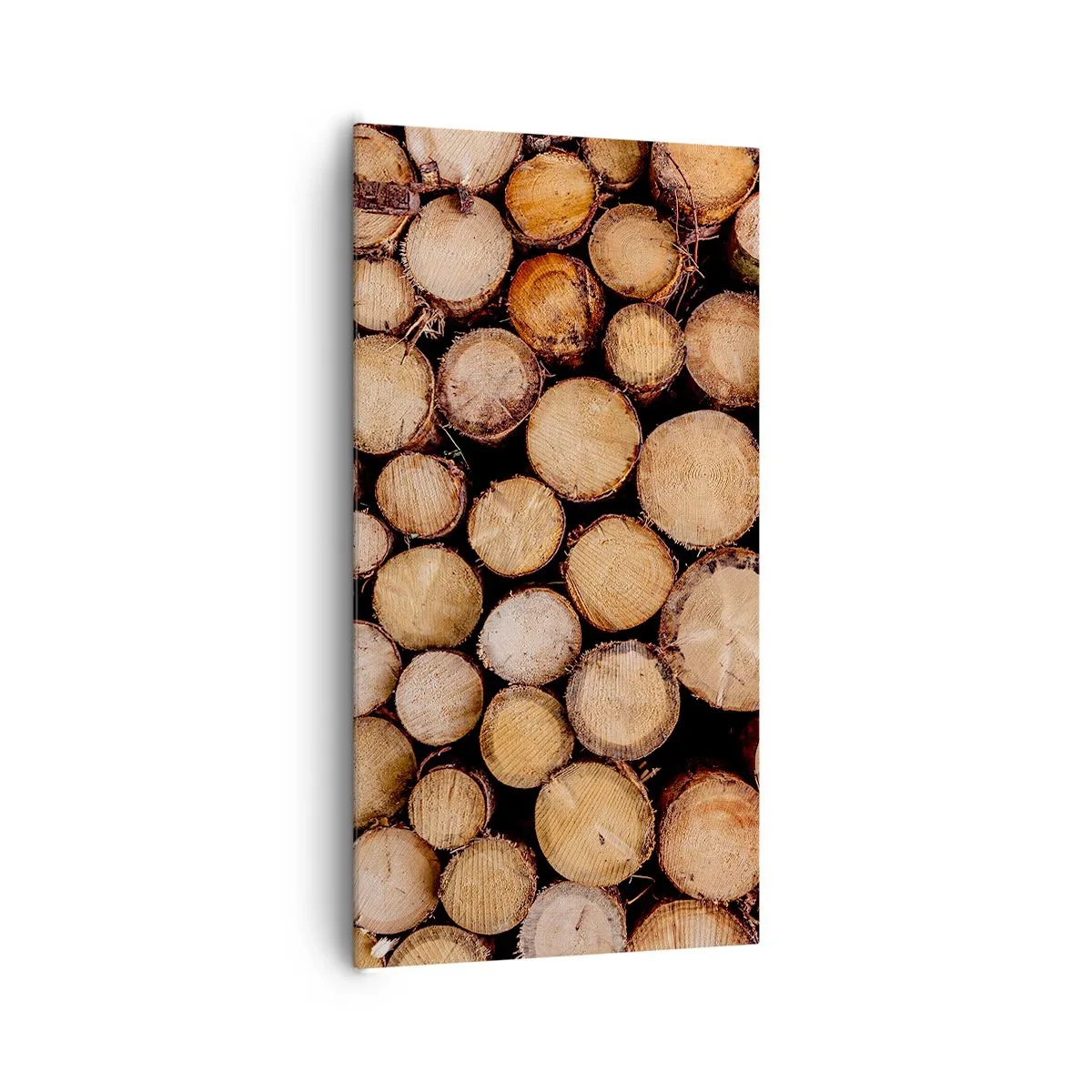 Impression sur toile - Image sur toile - Nouveau commencement - 65x120 cm